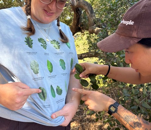 TreePeople merchandise
